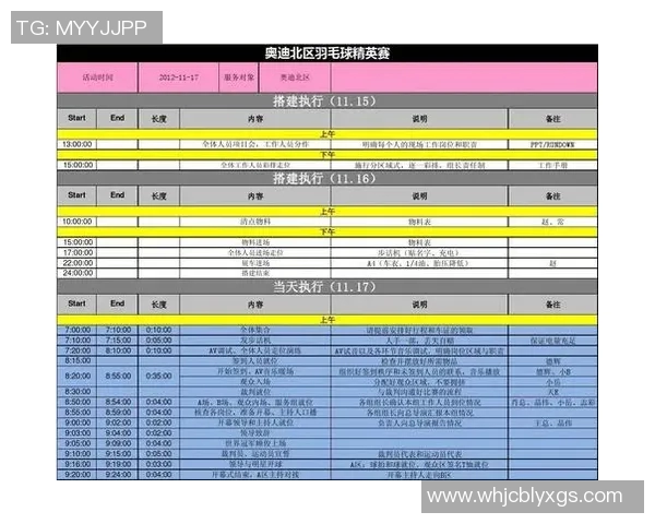 深圳羽毛球队精英赛技术表现分析与未来发展展望