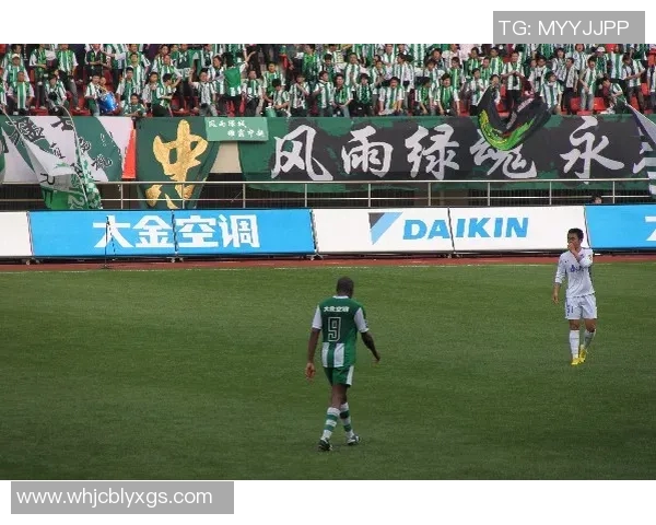 杭州足球队实力强劲荣登全国足球实力排行榜第十位