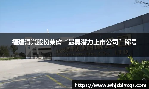 福建浔兴股份荣膺“最具潜力上市公司”称号